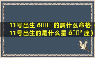 11号出生 🐝 的属什么命格（11号出生的是什么星 🐳 座）